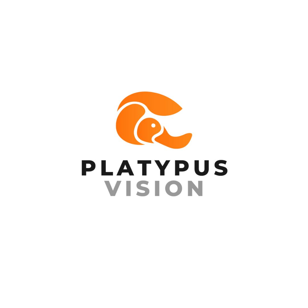 Machine vision grain inspection & grading systems