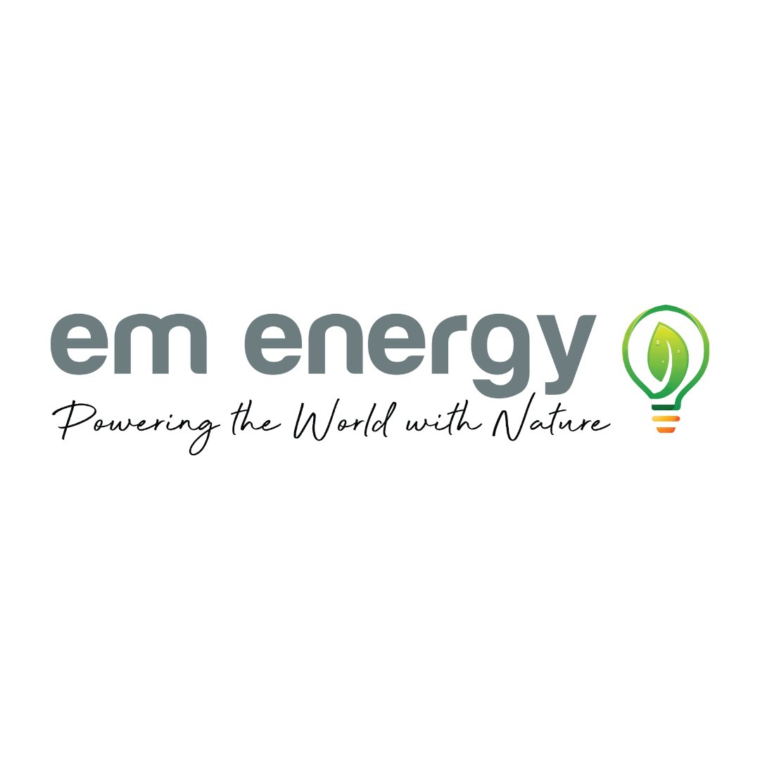 Powering the world with green hydrogen